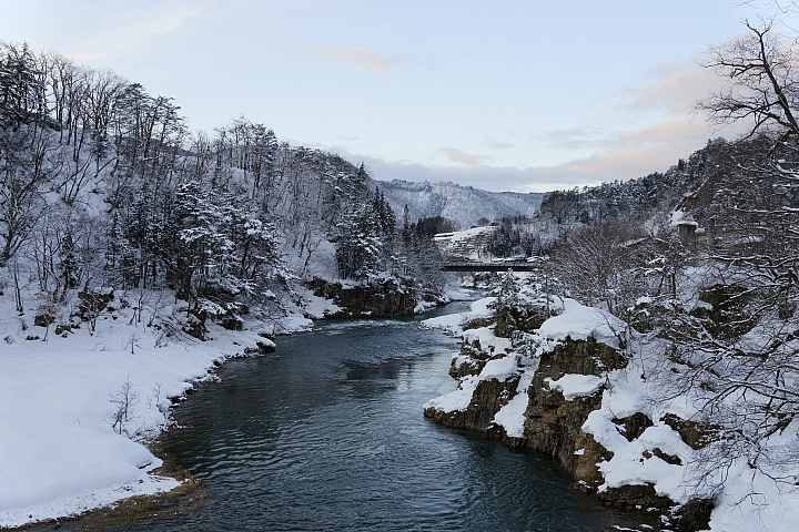 寒流來襲，請大家來分享雪景的照片吧
