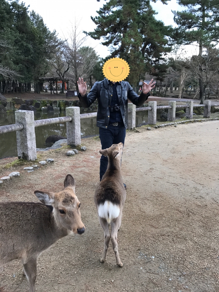 [五倍祭獻]REDWING男子漢麂皮工程師長靴8178
