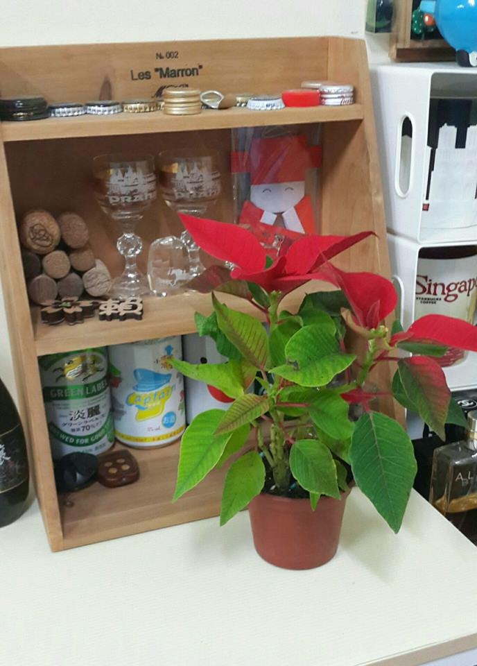 更新於12/17邁向第12年)預算不足夫妻同心油漆&整修17坪的起家厝點滴..