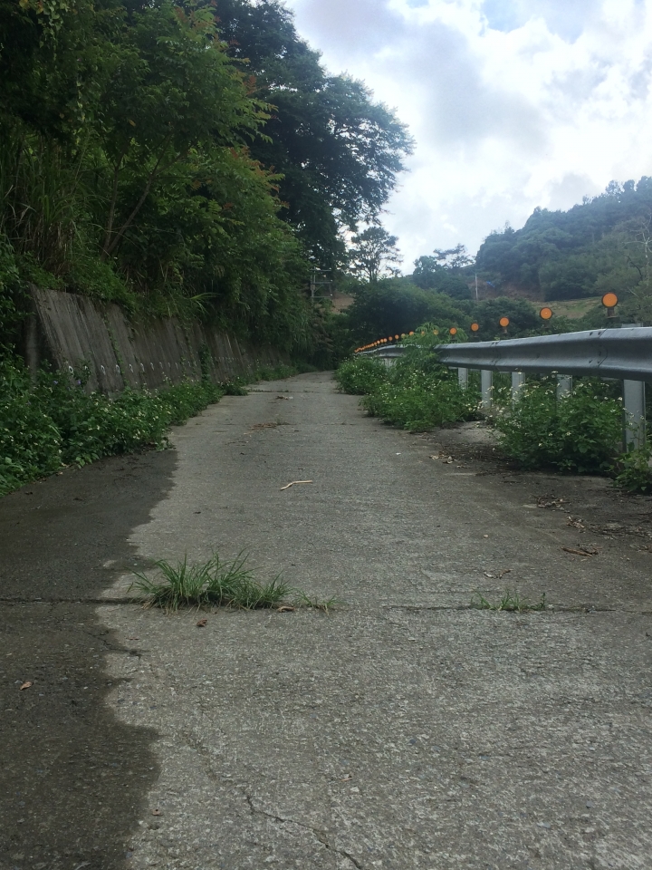 SSCX 單速車田字環島前傳 (完)