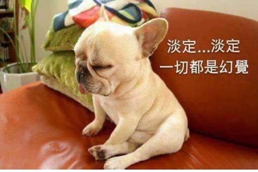 比天龍人慘！台東年輕人嘆一輩子買不起房