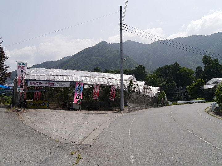 日本山梨縣 "塩山"  採鹽還是採櫻桃 ?!