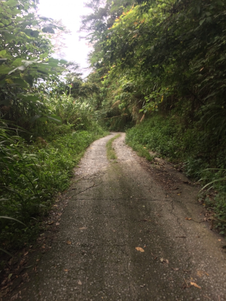 SSCX 單速車田字環島前傳 (完)
