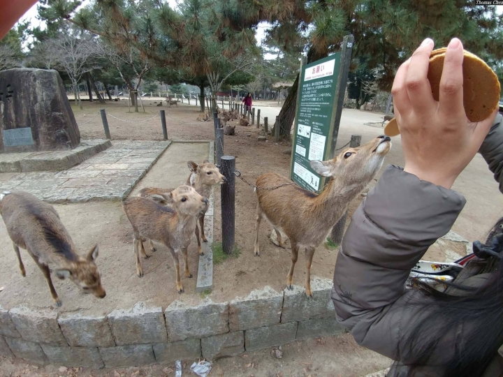 (第94批圖) LG G4 &G5&V10&v20 日夜拍研究團 精選作品2017.2.15