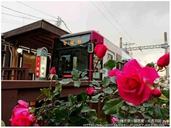 【日本新玩法】搭荒川線電車穿越時空體驗東京復古風情！（省荷包交通小撇步"都營一日乘車券"、8個不擁擠遊日熱點、銅板美食 ）