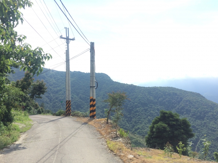 SSCX 單速車田字環島前傳 (完)