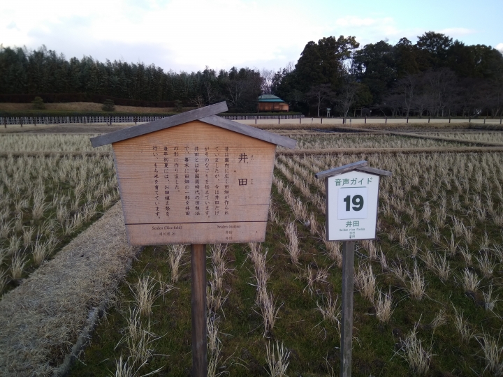 [2017.01.28-02.02]廣島、宮島嚴島神社、岩國錦帶橋、岡山後樂園、倉敷、松江城、出雲大社、大阪天王寺之旅(大推Hotel & Resort Bali Tower Tennoji！！！)