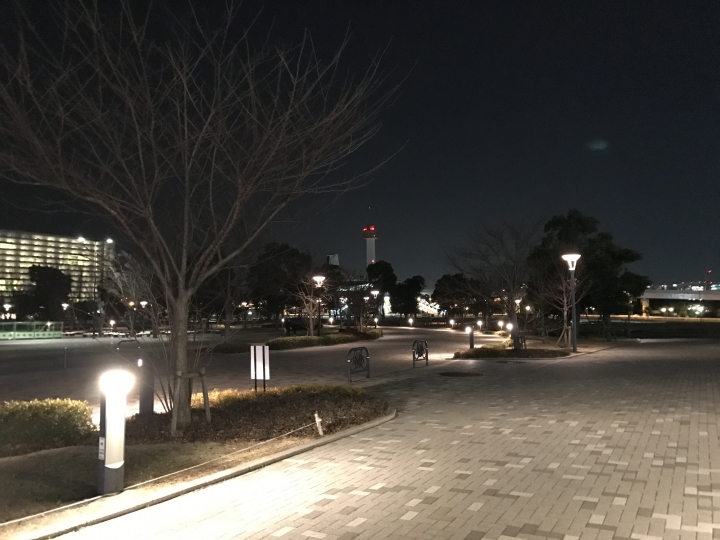 [日本。東京] 築地、台場 半日遊