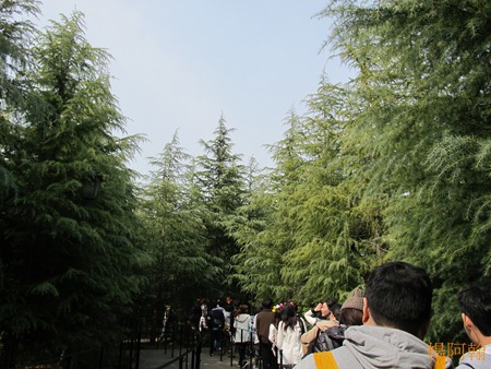 [日本 關西] 京阪5天自由行 day3
