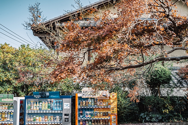 [D4] 京都賞楓攝影（後製）圖多