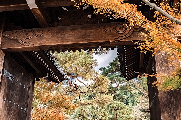 [D4] 京都賞楓攝影（後製）圖多