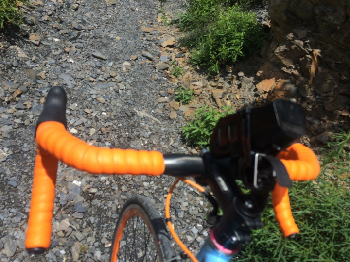 SSCX 單速車田字環島前傳 (完)