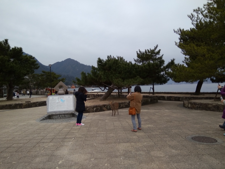 [2017.01.28-02.02]廣島、宮島嚴島神社、岩國錦帶橋、岡山後樂園、倉敷、松江城、出雲大社、大阪天王寺之旅(大推Hotel & Resort Bali Tower Tennoji！！！)