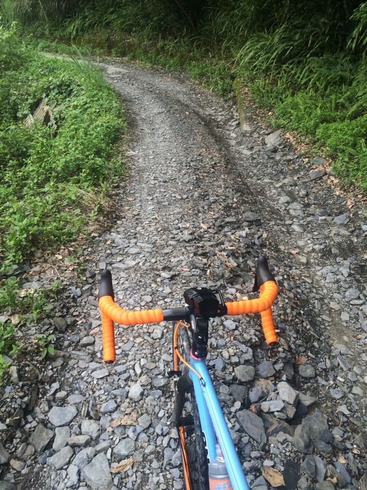 SSCX 單速車田字環島前傳 (完)
