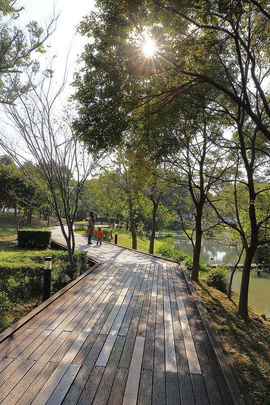 【親子景點】桃園八德埤塘自然生態公園。能夠觀察生態、寓教於樂的野餐放風好去處