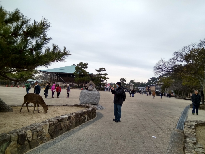 [2017.01.28-02.02]廣島、宮島嚴島神社、岩國錦帶橋、岡山後樂園、倉敷、松江城、出雲大社、大阪天王寺之旅(大推Hotel & Resort Bali Tower Tennoji！！！)