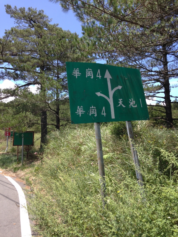 SSCX 單速車田字環島前傳 (完)