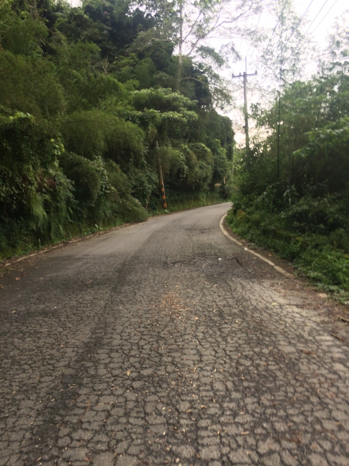 SSCX 單速車田字環島前傳 (完)