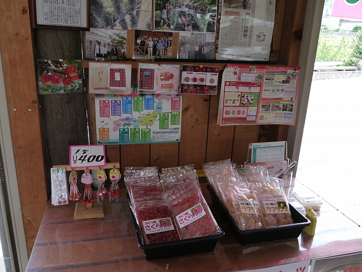 日本山梨縣 "塩山"  採鹽還是採櫻桃 ?!