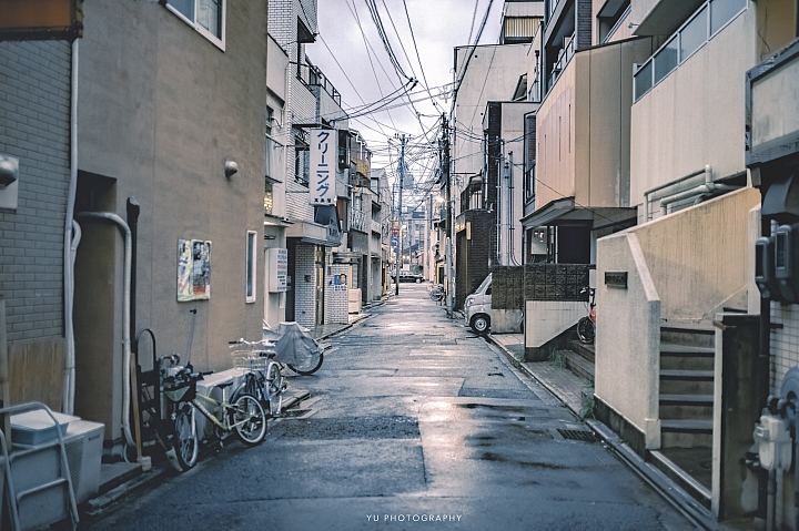 [D4] 京都賞楓攝影（後製）圖多