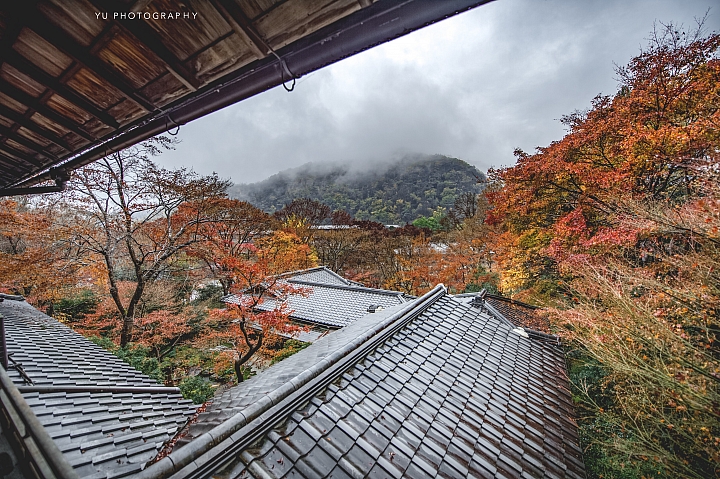 [D4] 京都賞楓攝影（後製）圖多