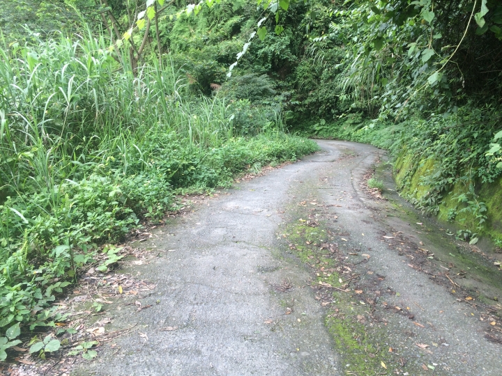 SSCX 單速車田字環島前傳 (完)