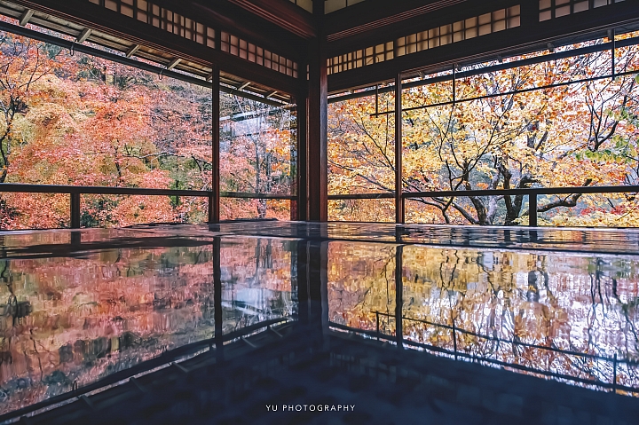 [D4] 京都賞楓攝影（後製）圖多