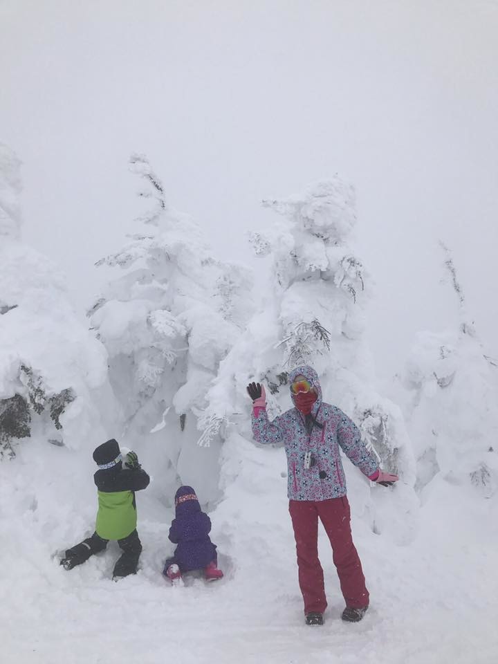 500/人~遊日本東北7天6夜~藏王樹冰，滑雪，天空草莓吃到飽~