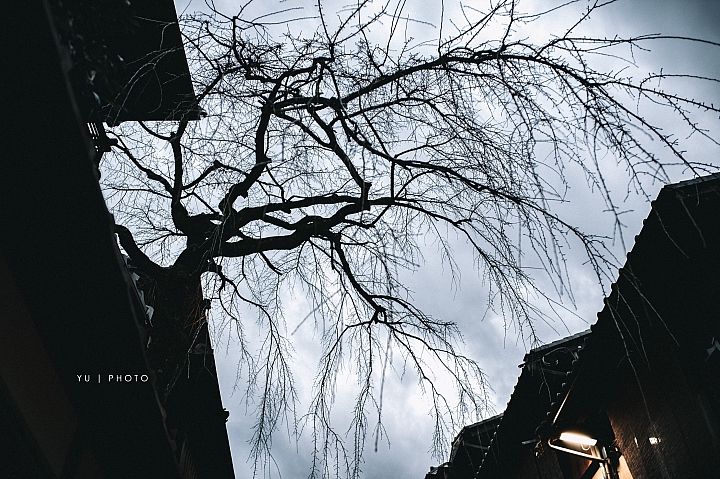 [D4] 京都賞楓攝影（後製）圖多