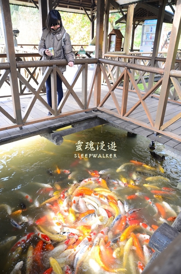 ［台南柳營。景點］南元花園休閒農場－闔家歡樂，情侶約會的後花園