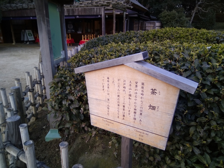 [2017.01.28-02.02]廣島、宮島嚴島神社、岩國錦帶橋、岡山後樂園、倉敷、松江城、出雲大社、大阪天王寺之旅(大推Hotel & Resort Bali Tower Tennoji！！！)