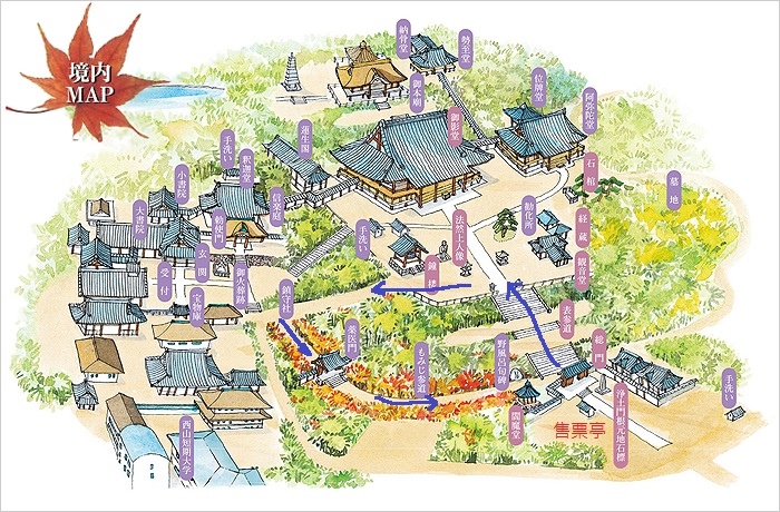 【京都長岡京】總本山光明寺，京都賞紅葉必看楓葉隧道