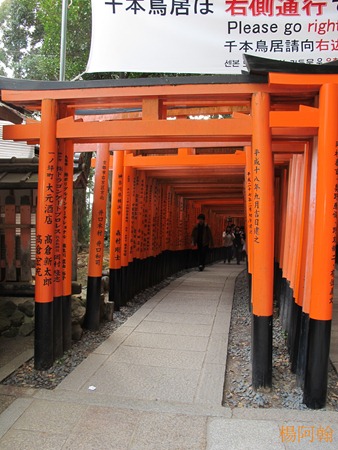 [日本 關西] 京阪5天自由行 day2