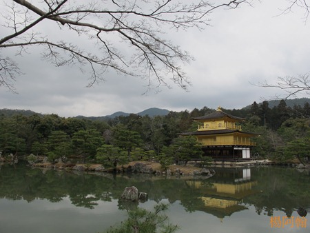 [日本 關西] 京阪5天自由行 day2