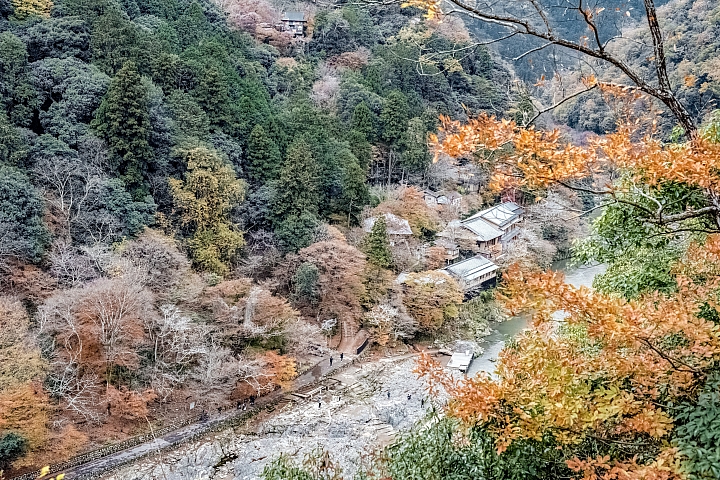 [D4] 京都賞楓攝影（後製）圖多