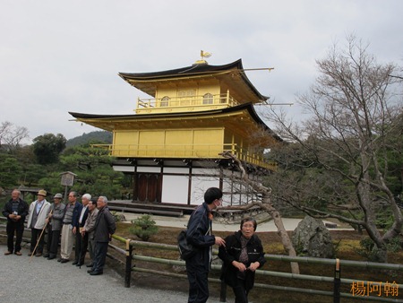 [日本 關西] 京阪5天自由行 day2