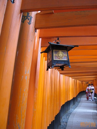 [日本 關西] 京阪5天自由行 day2