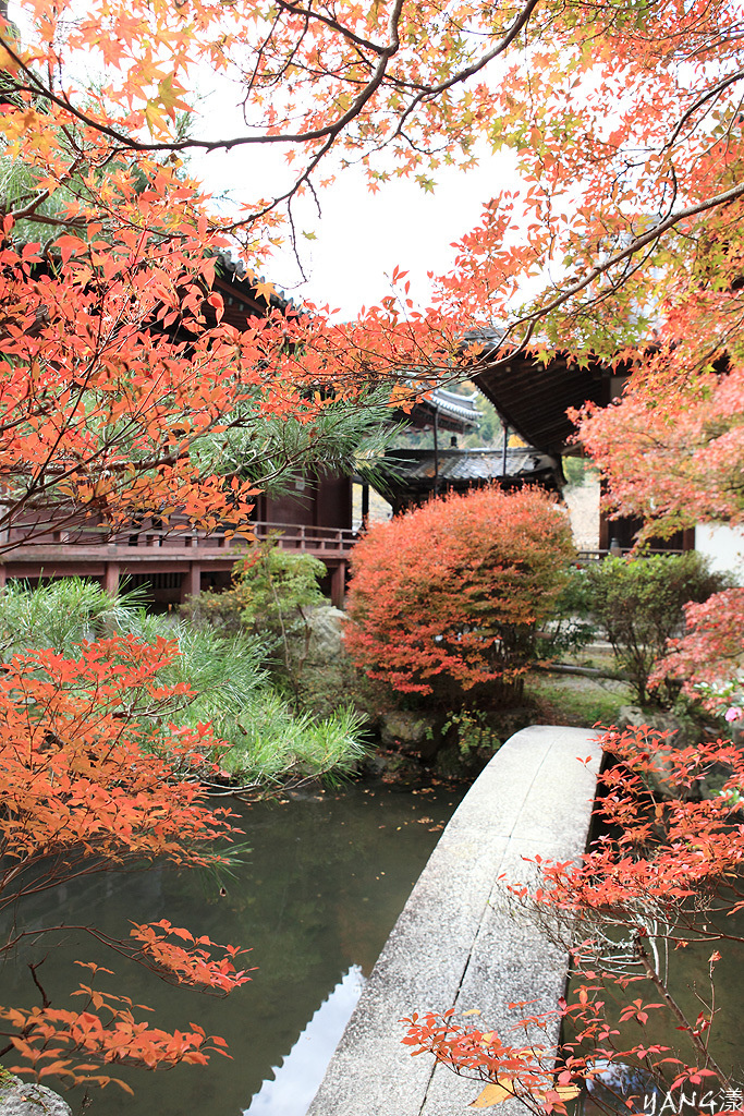【京都山科】毘沙門堂，紅葉期間至少得來兩次
