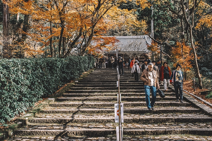 [D4] 京都賞楓攝影（後製）圖多