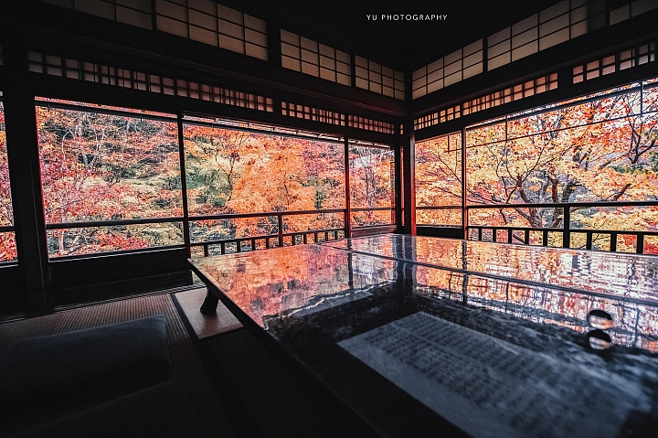 [D4] 京都賞楓攝影（後製）圖多