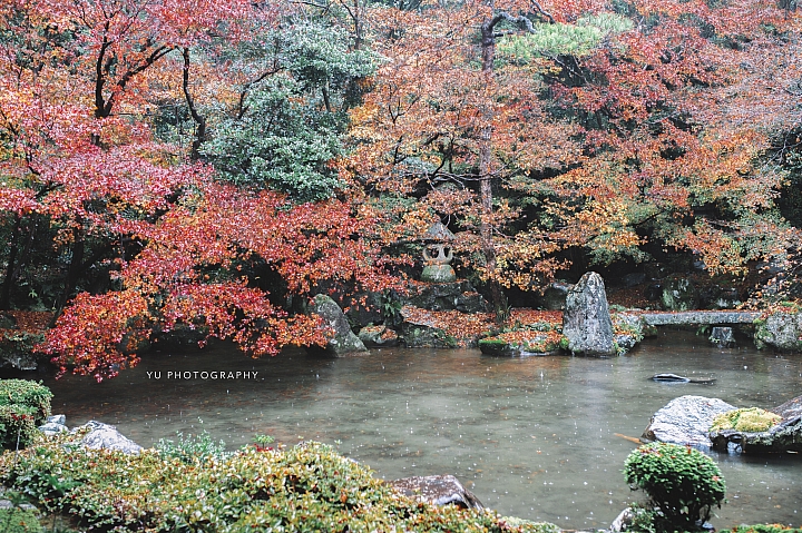 [D4] 京都賞楓攝影（後製）圖多