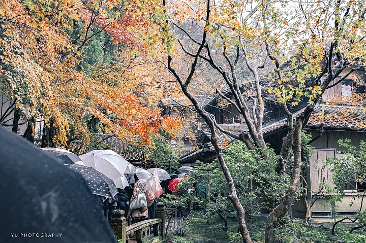 [D4] 京都賞楓攝影（後製）圖多