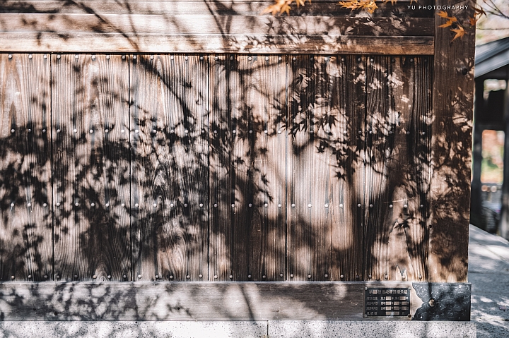 [D4] 京都賞楓攝影（後製）圖多