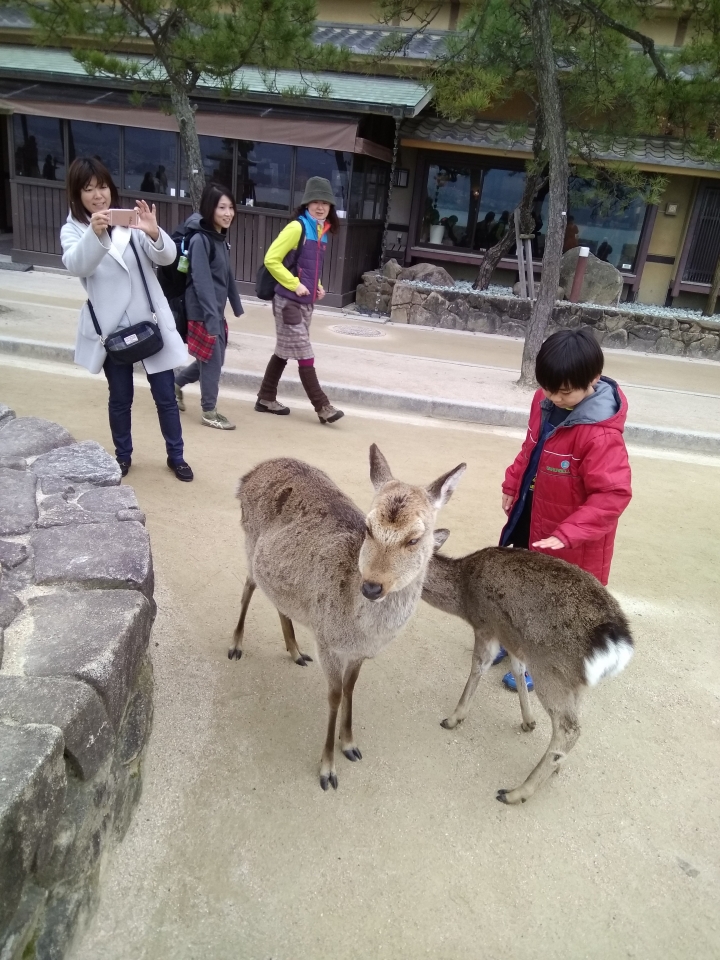 [2017.01.28-02.02]廣島、宮島嚴島神社、岩國錦帶橋、岡山後樂園、倉敷、松江城、出雲大社、大阪天王寺之旅(大推Hotel & Resort Bali Tower Tennoji！！！)