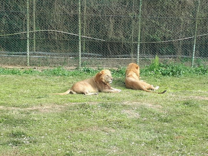 三星Galaxy A7 2017--A級精彩，防水防塵探索水袐境