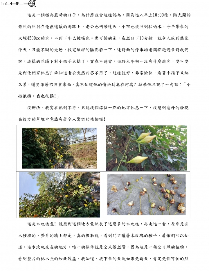 [分享] 2017年農曆新年賺錢經驗---飛鷹行動