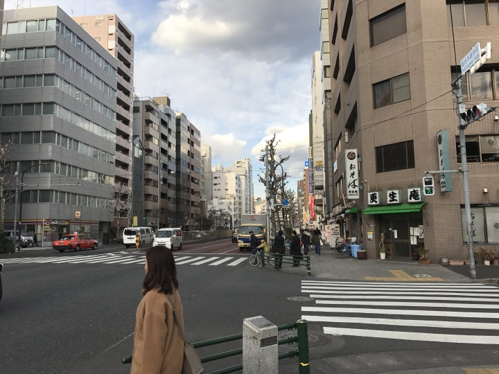 [日本。東京] 築地、台場 半日遊