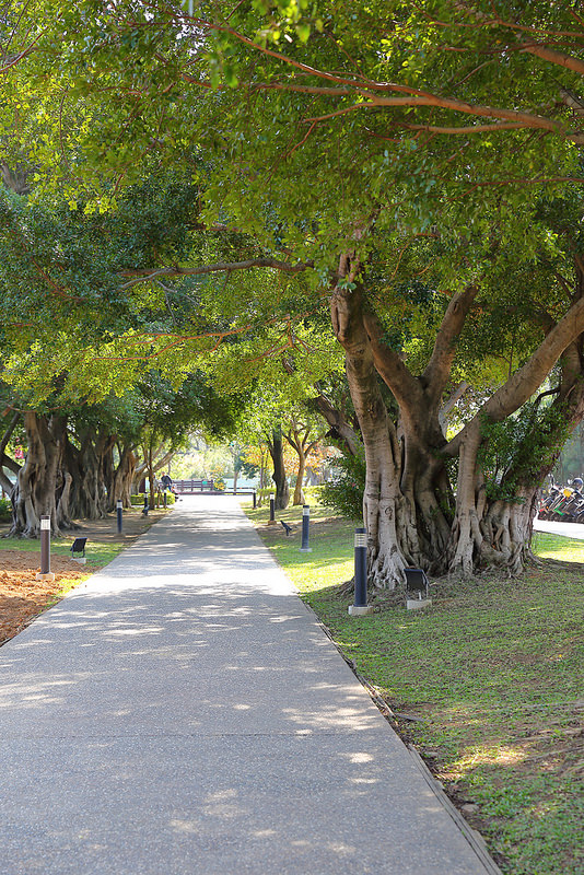 【親子景點】桃園八德埤塘自然生態公園。能夠觀察生態、寓教於樂的野餐放風好去處