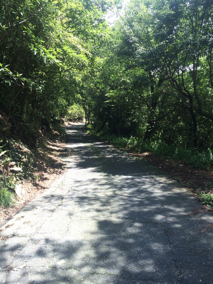 SSCX 單速車田字環島前傳 (完)