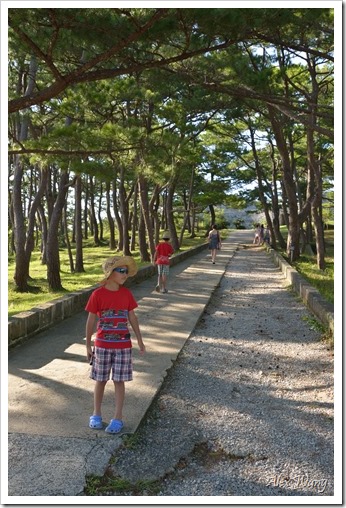 2015日本沖繩親子之旅-0715第三天